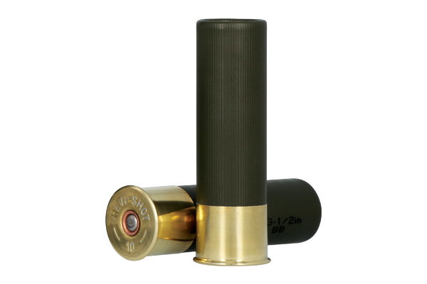 10 Gauge
