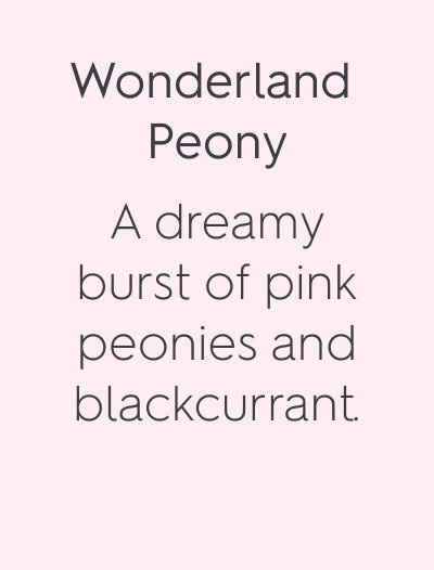 Wonderland Peony A dreamy burst of pink peonies and blackcurrant.
