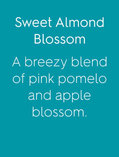 Sweet Almond Blossom A breezy blend of pink pomelo and apple blossom.