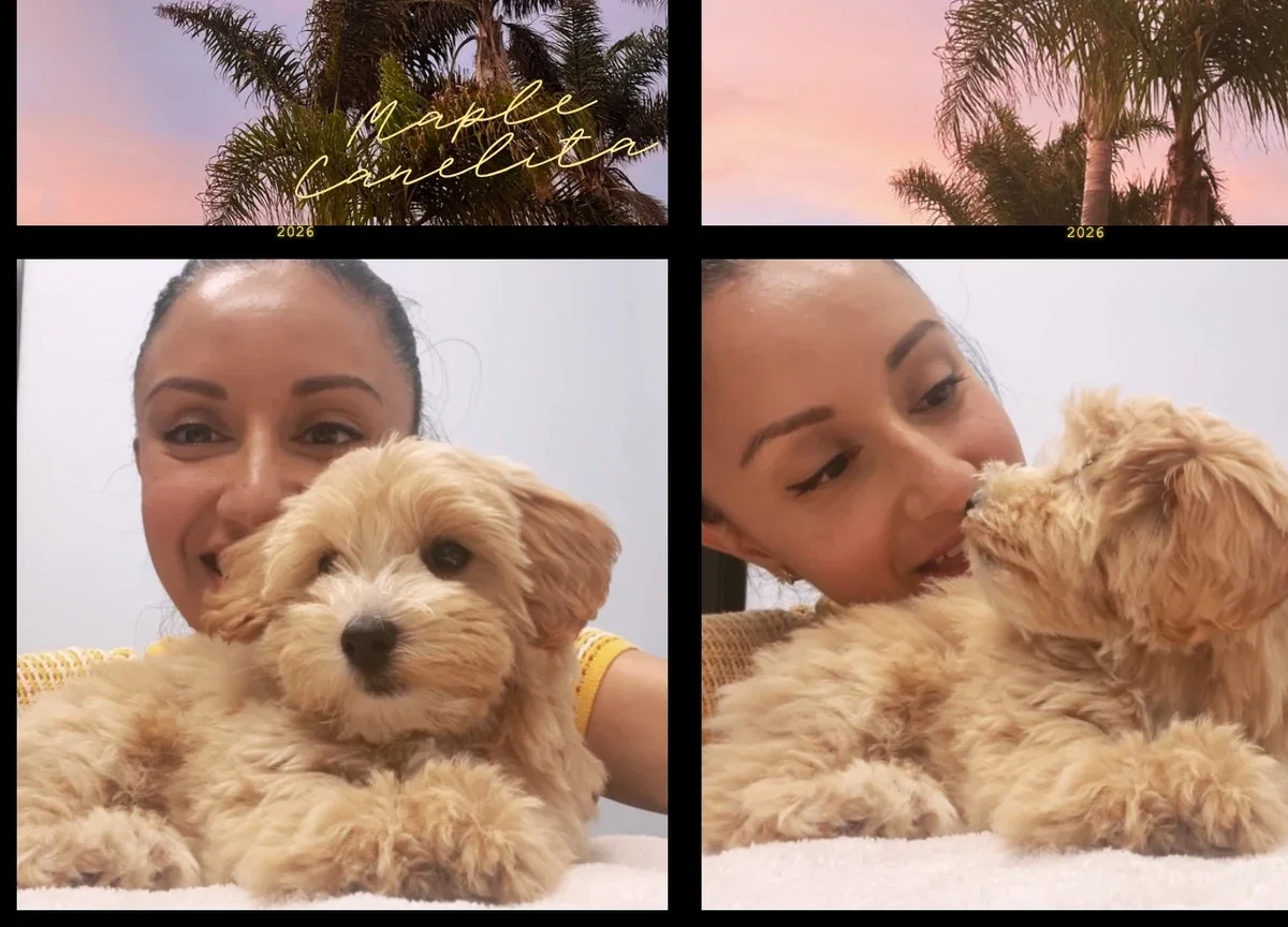 Meet my new puppy