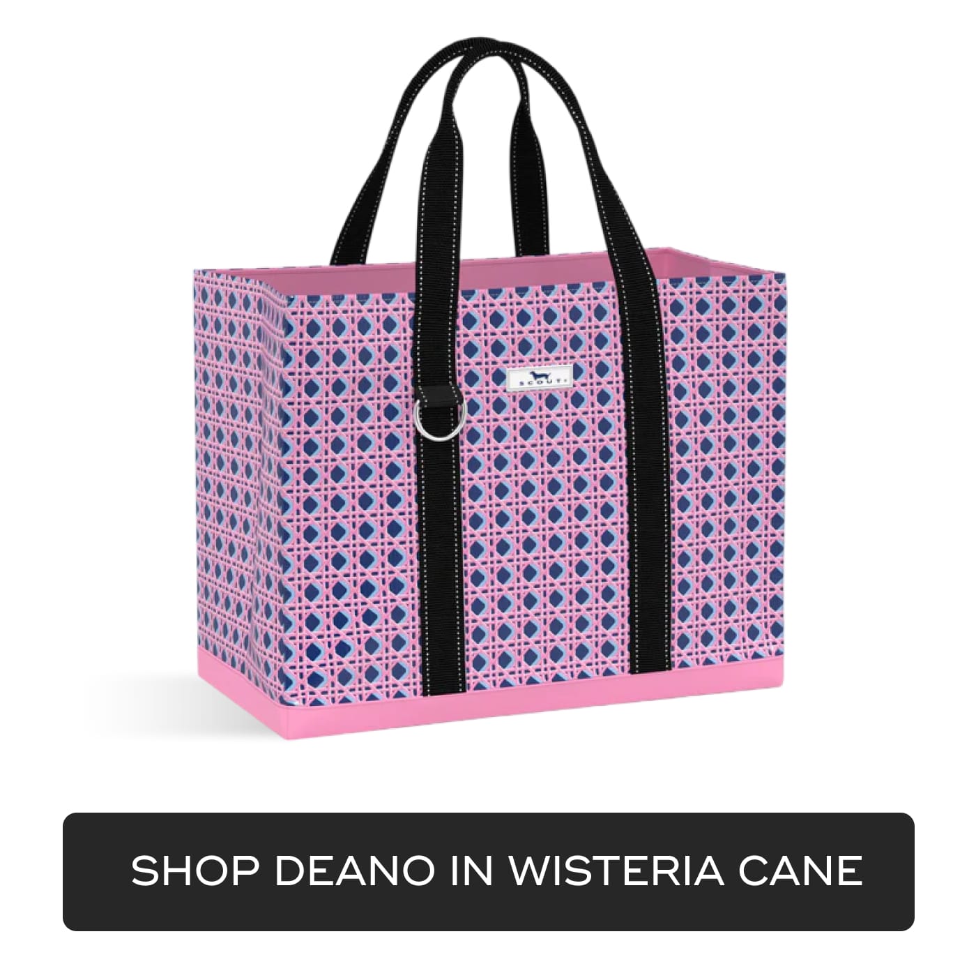 SHOP DEANO IN WISTERIA CANE