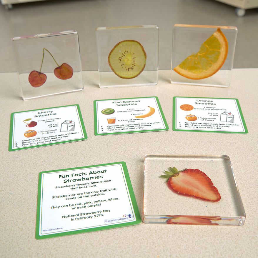 Excellerations® SpeciFun™ 4 Fruit Tile Specimens & Cards