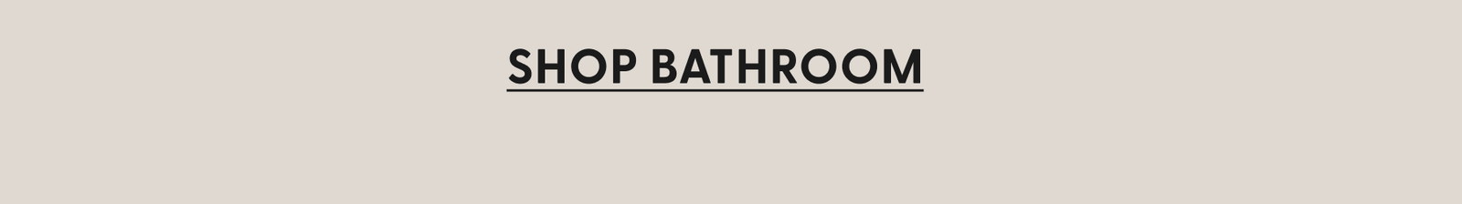 Shop Bathroom
