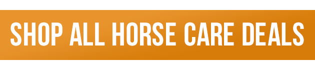 Horse care sale