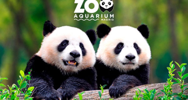 ¡Día lleno de aventuras con 1 entrada al Zoo Aquarium de Madrid!