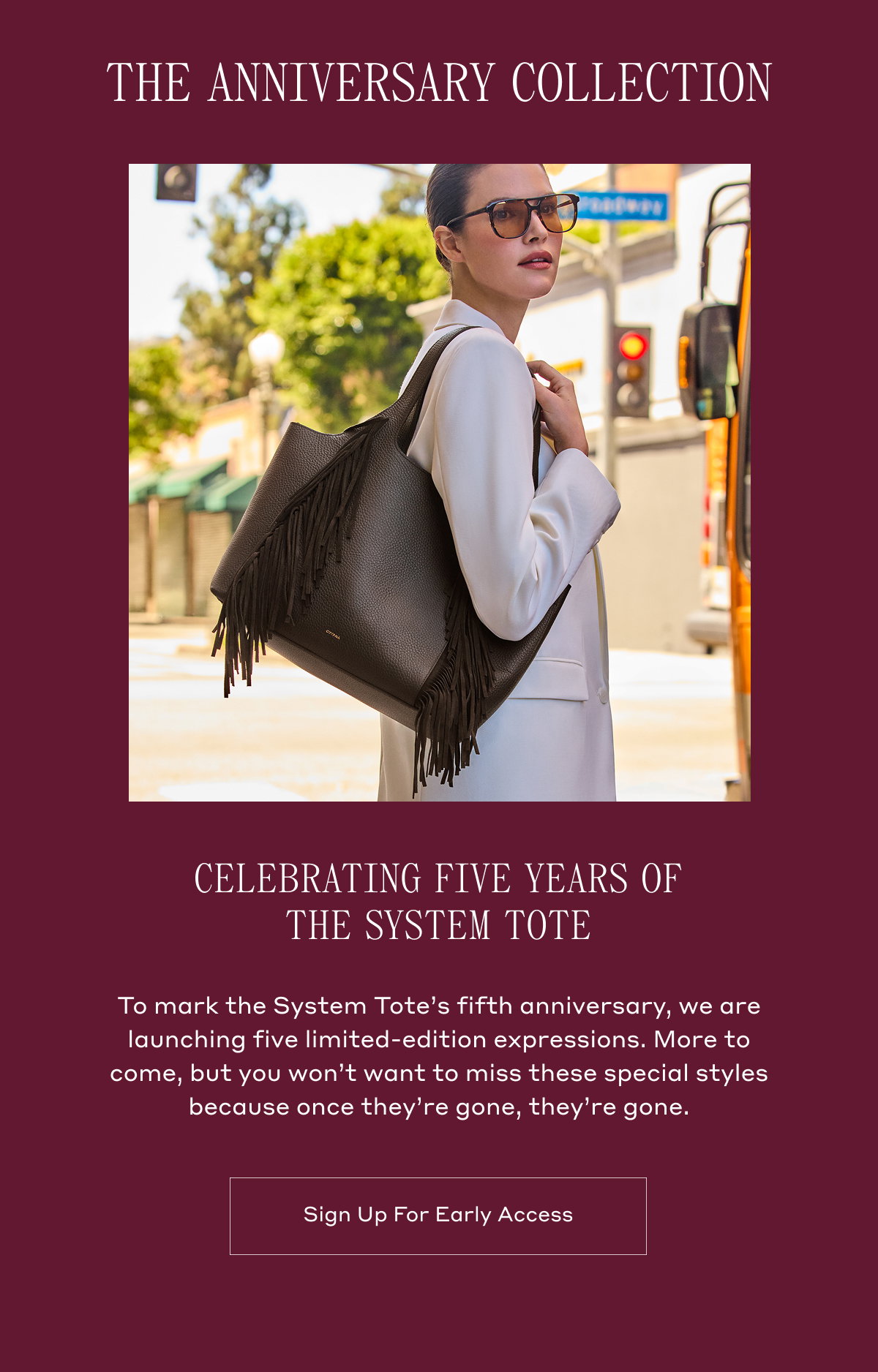 THE ANNIVERSARY COLLECTION. CELEBRATING FIVE YEARS OF THE SYSTEM TOTE. To mark the System Tote's fifth anniversary, we are launching five limited-edition expressions. More to come, but you won't want to miss these special styles because once they're gone, they're gone. Sign Up For Early Access.