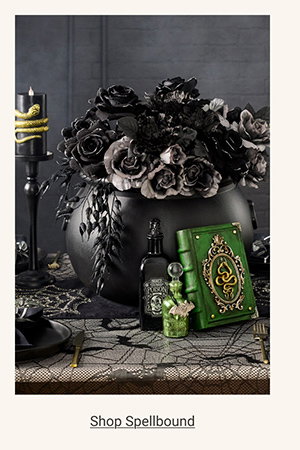 Shop Spellbound