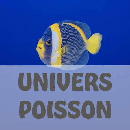 Univers poisson