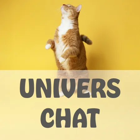 Univers chat