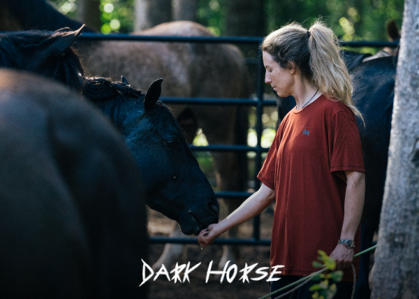 Dark Horse