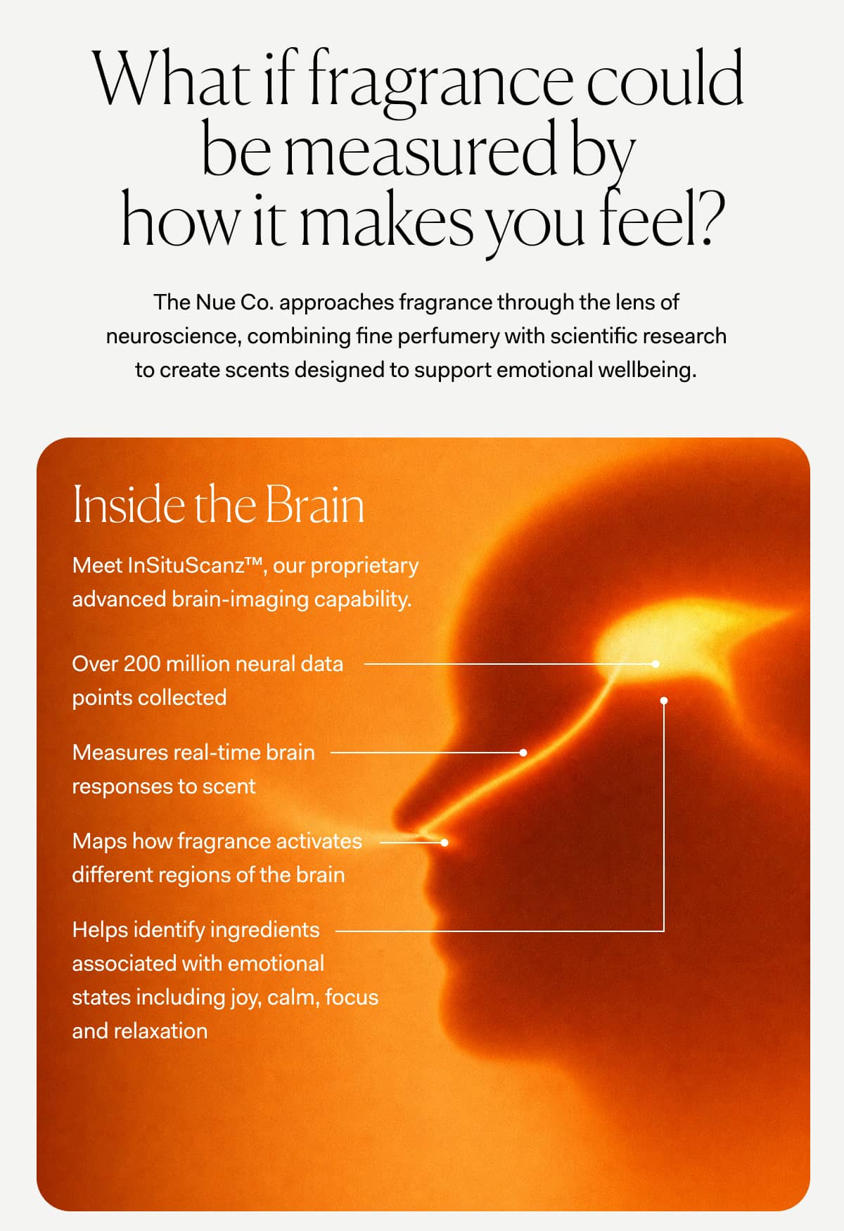 What if fragrance could  be measured by  how it makes you feel? | The Nue Co. approaches fragrance through the lens of neuroscience, combining fine perfumery with scientific research to create scents designed to support emotional wellbeing. 