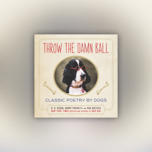 Throw the Damn Ball