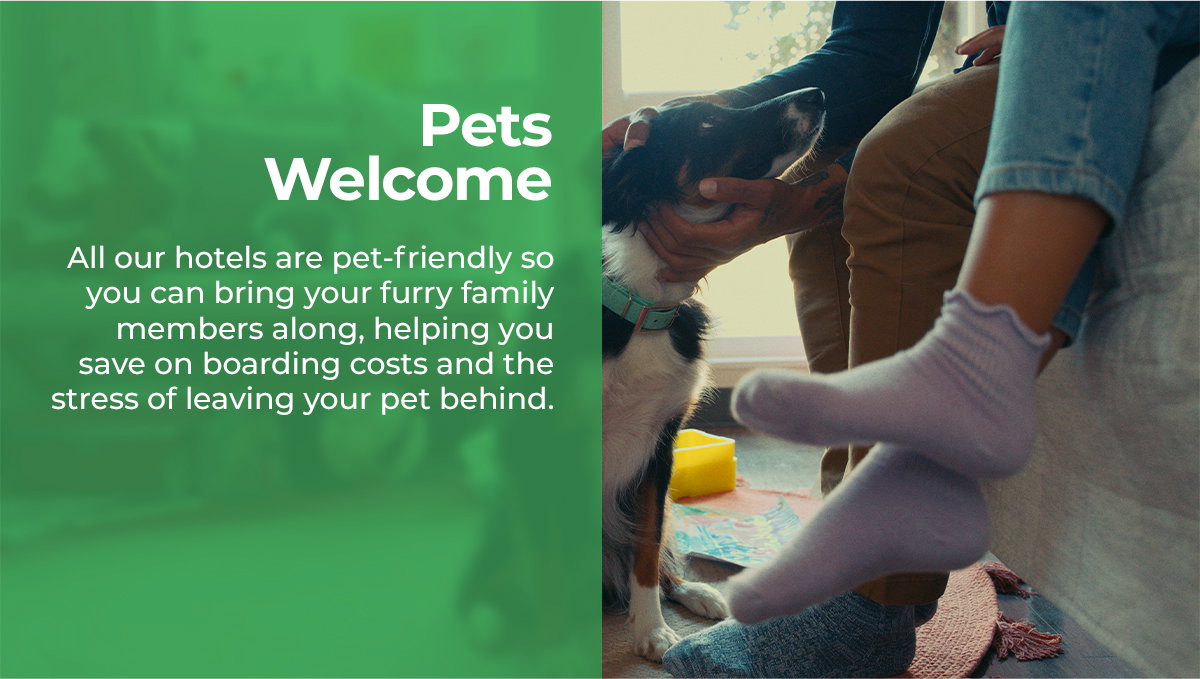 Pets Welcome