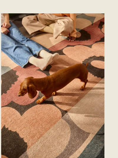 Unikko Ralli Charcoal Multicolor Rug