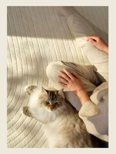 Arlo Soft White Plush Rug