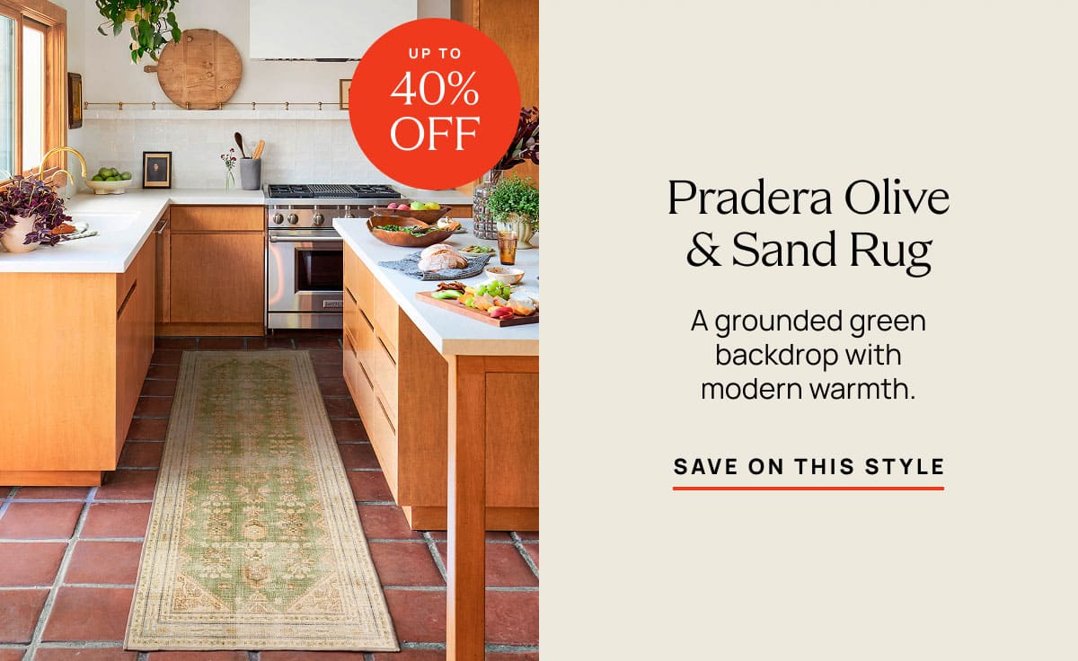 Pradera Olive & Sand Rug | Save On This Style 