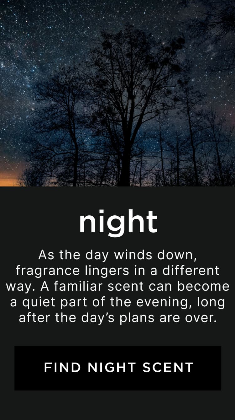 Night - As the day winds down, fragrance lingers in a different way. A familiar scent can become a quiet part of the evening, long after the day’s plans are over.