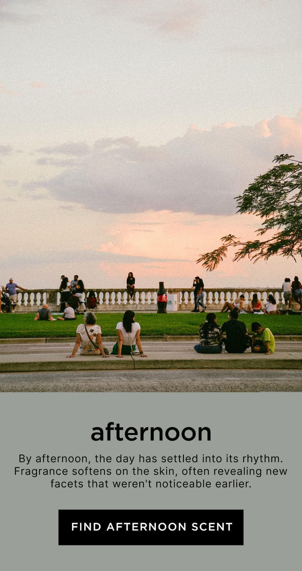 Afternoon - By afternoon, the day has settled into its rhythm. Fragrance softens on the skin, often revealing new facets that weren't noticeable earlier.