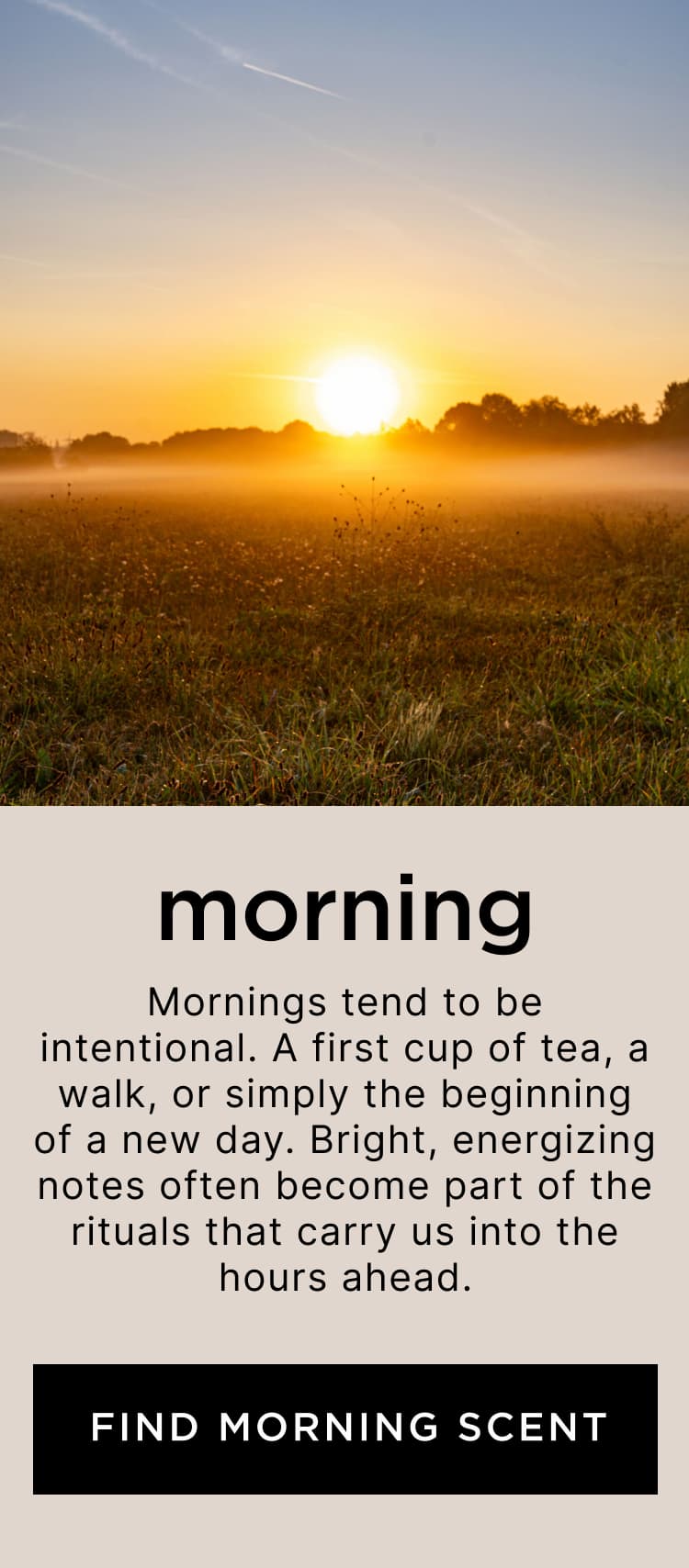 Morning - Mornings tend to be intentional. A first cup of tea, a walk, or simply the beginning of a new day. Bright, energizing notes often become part of the rituals that carry us into the hours ahead.