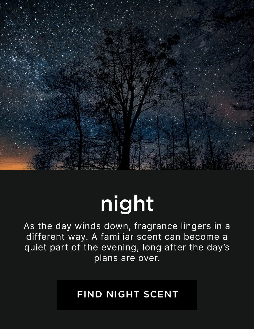 Night - As the day winds down, fragrance lingers in a different way. A familiar scent can become a quiet part of the evening, long after the day’s plans are over.