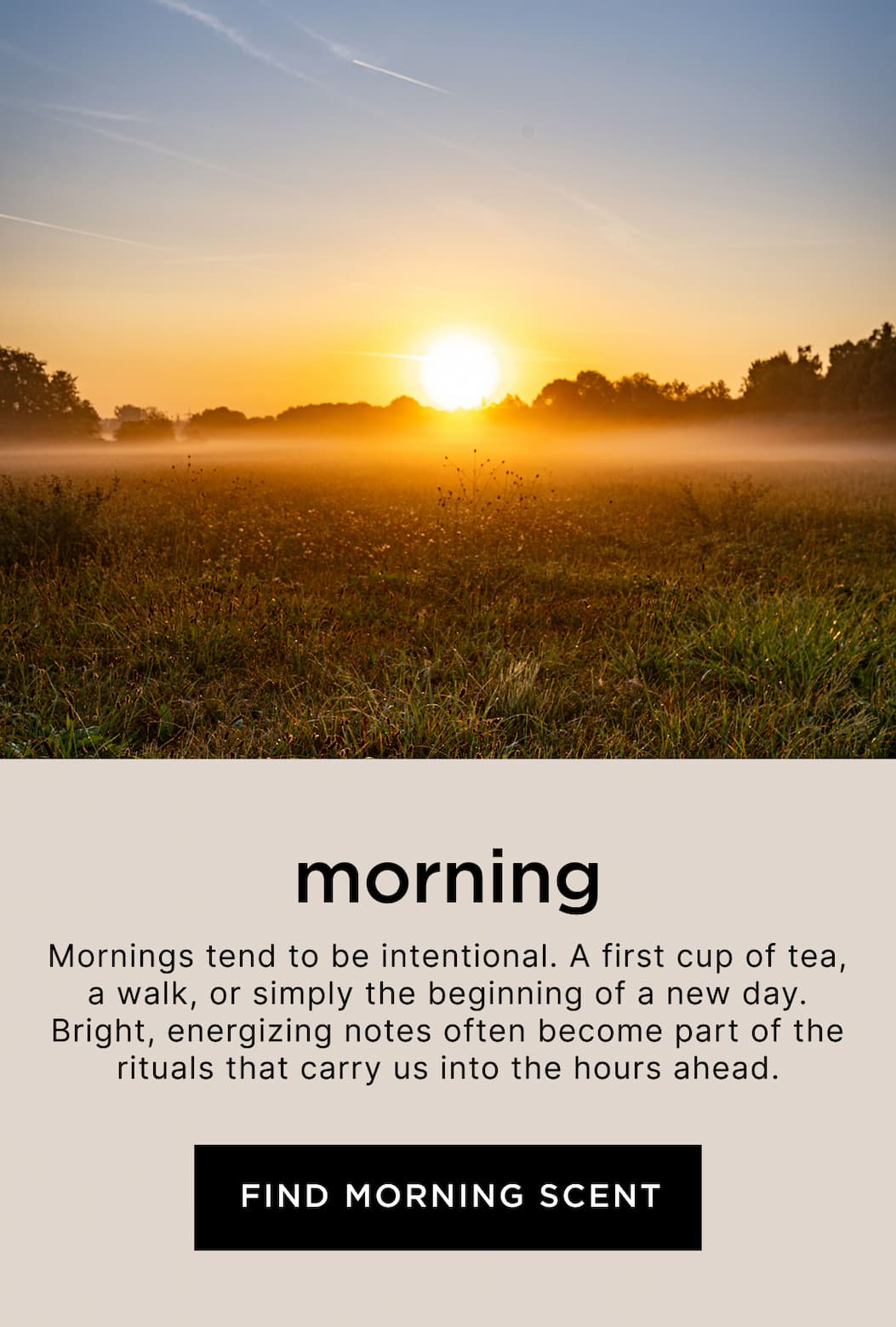 Morning - Mornings tend to be intentional. A first cup of tea, a walk, or simply the beginning of a new day. Bright, energizing notes often become part of the rituals that carry us into the hours ahead.