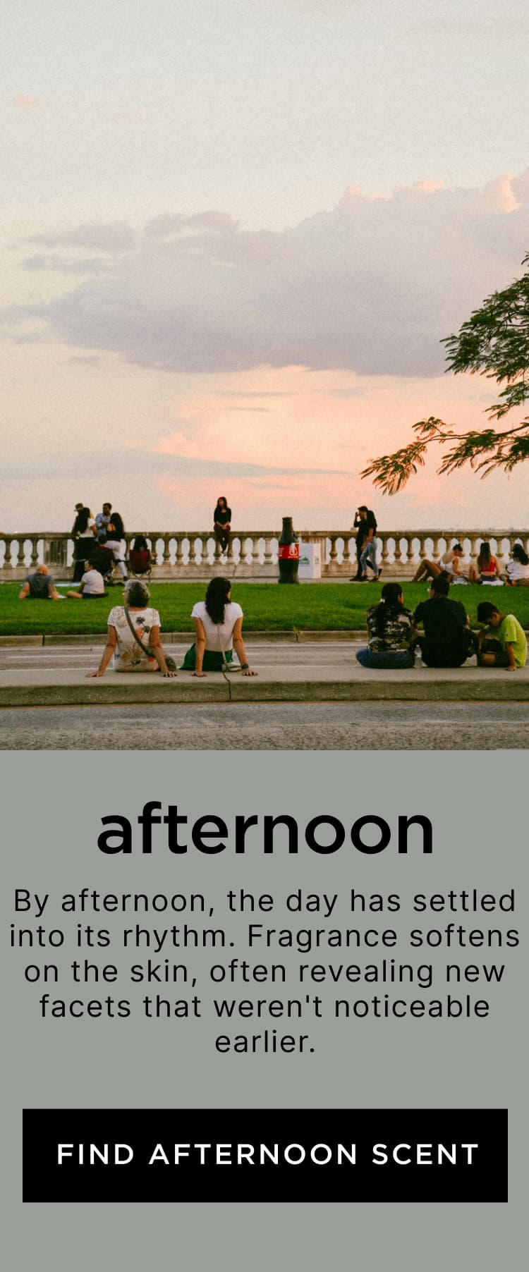 Afternoon - By afternoon, the day has settled into its rhythm. Fragrance softens on the skin, often revealing new facets that weren't noticeable earlier.