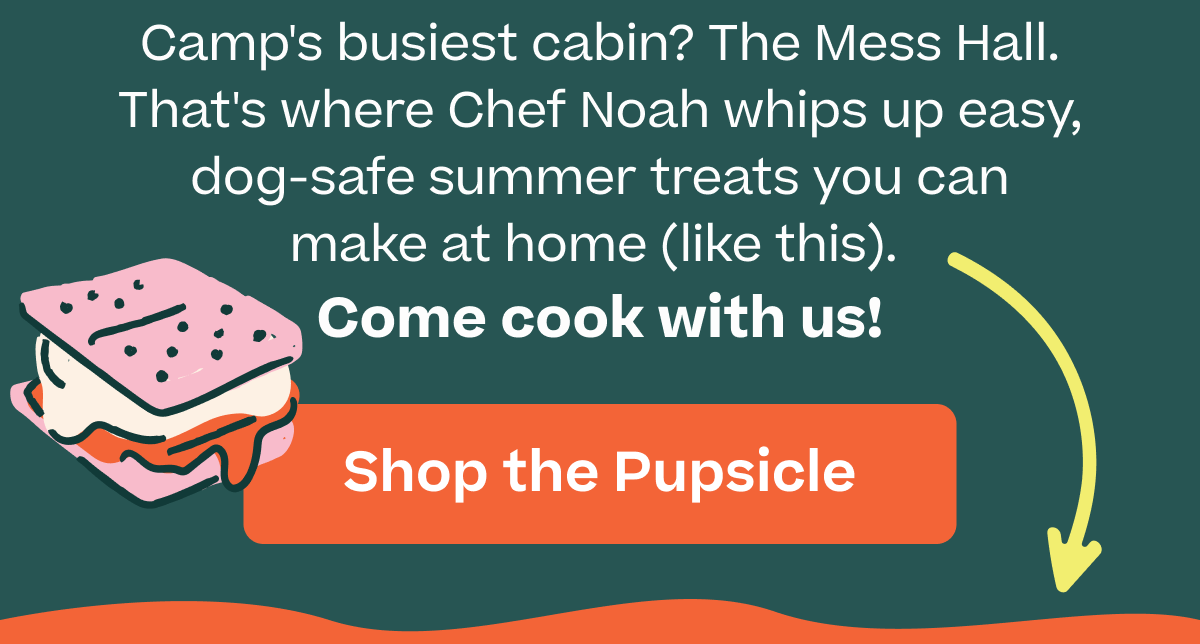 Camp's busiest cabin? The Mess Hall. That's where Chef Noah whips up easy, dog-safe summer treats you can make at home (like this).  Come cook with us!  | Shop the Pupsicle