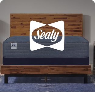 Shop Sealy.