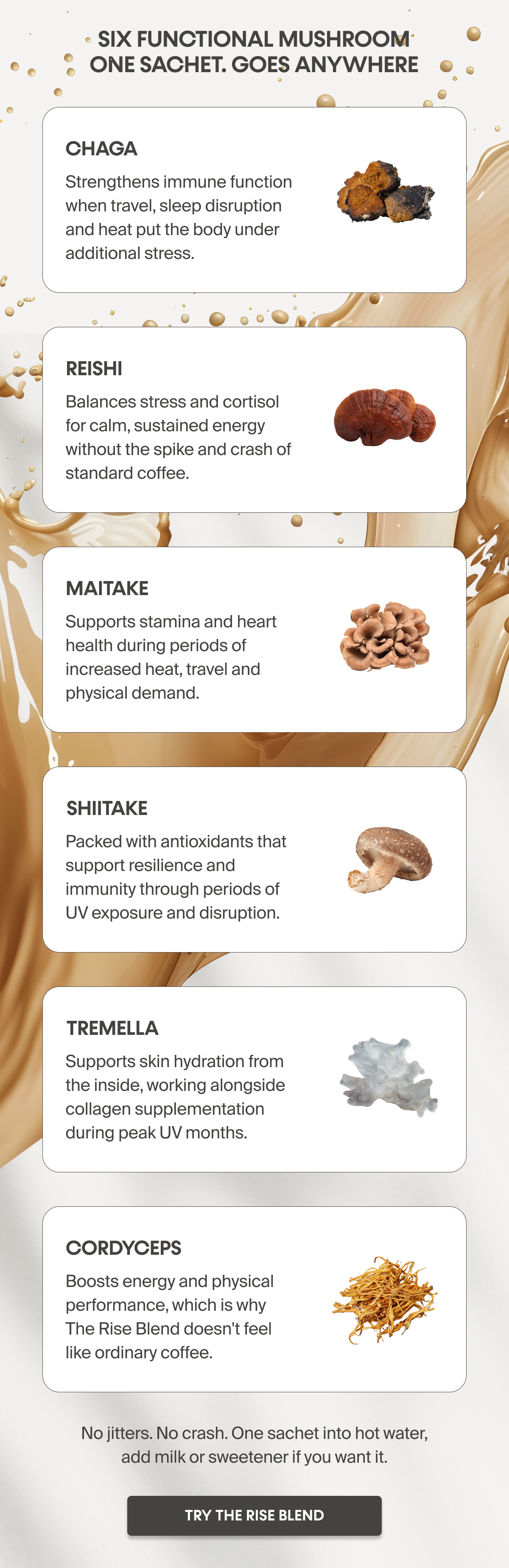 Six Functional Mushroom One Sachet. Goes Anywhere