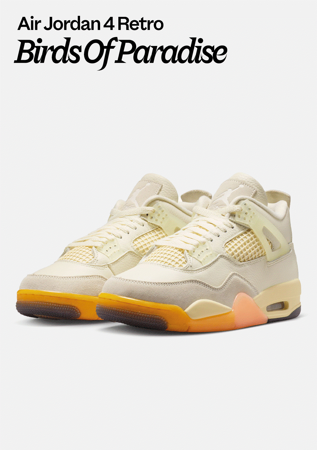 Jordan Retro 4