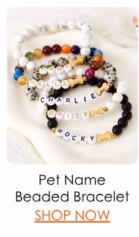 Pet Name Beaded Bracelet