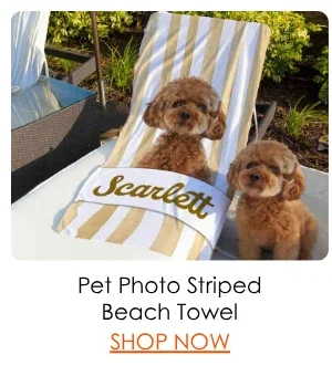 Pet Photo Striped Beach Towel