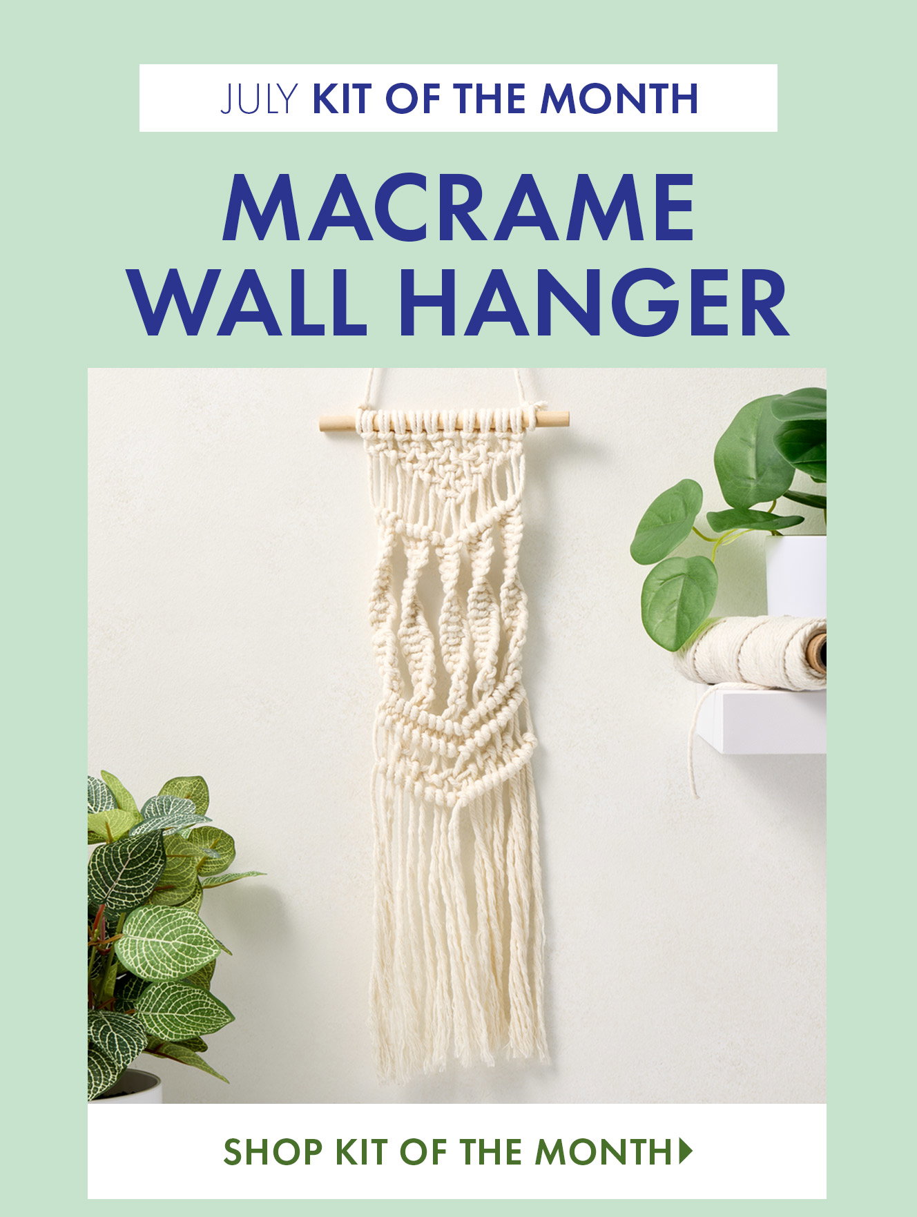 Macrame Wall Hanger