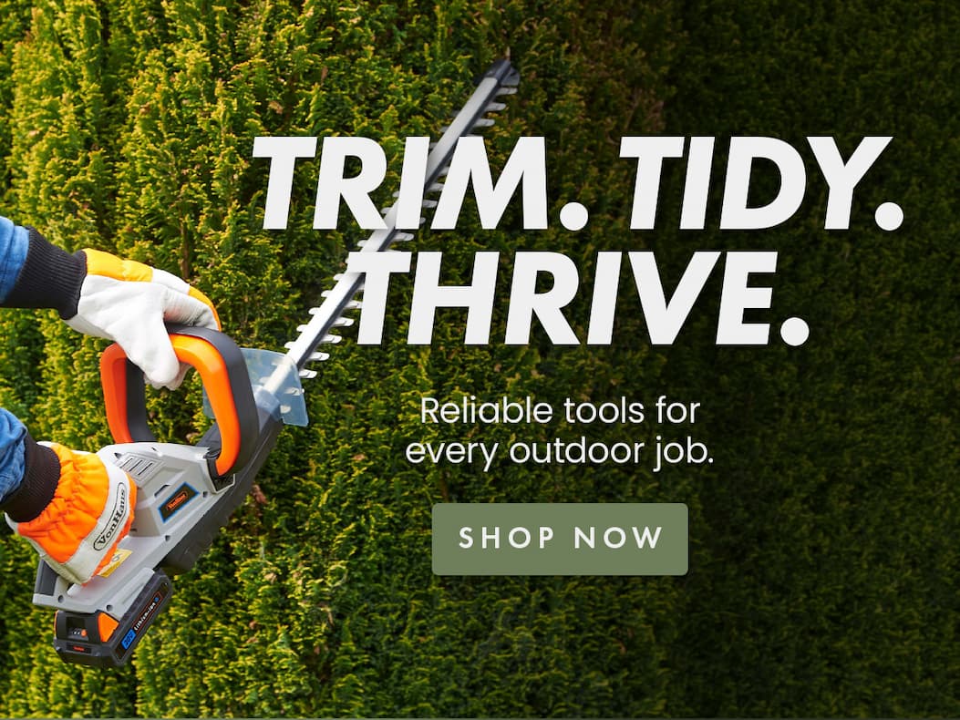Trim. Tidy. Thrive.