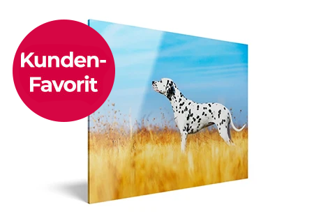 Acrylglas verleiht deinem Foto eine beeindruckende Tiefenwirkung