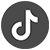 TikTok icon