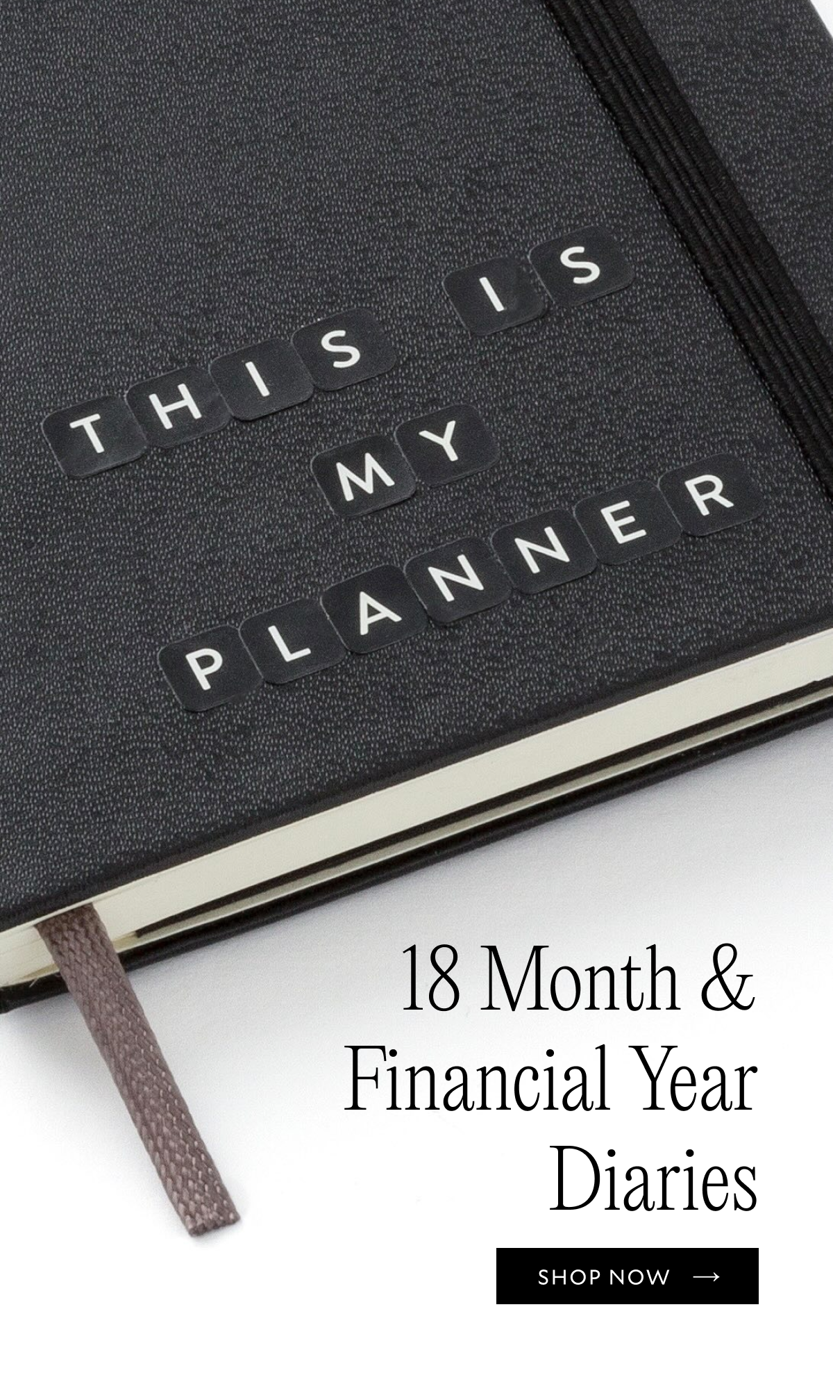 18 Month Diaries 