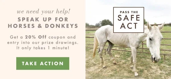Speak up for horses and donkeys