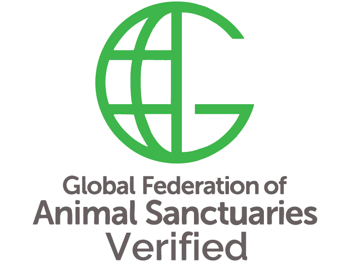 GFAS Badge