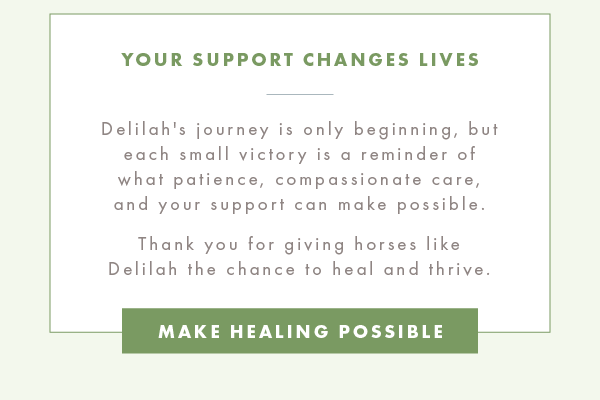 Your support changes lives
