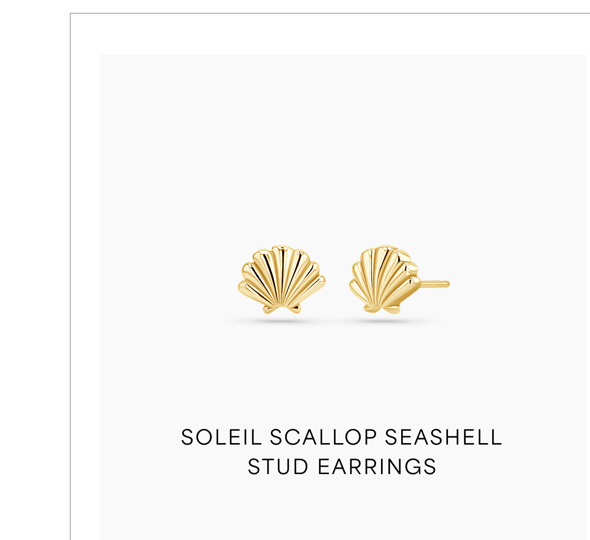 Soleil Scallop Seashell Stud Earrings