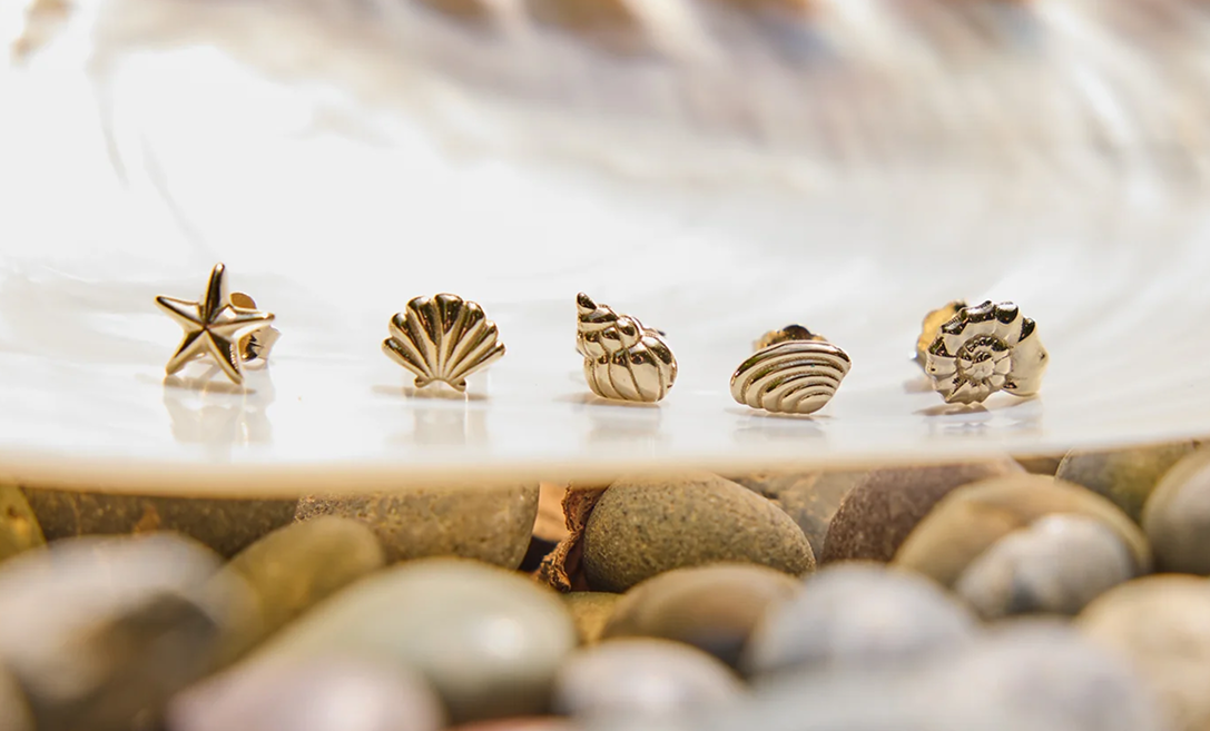 SHOP STUDS