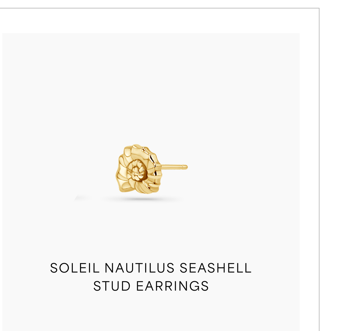 Soleil Nautilus Seashell Stud Earrings