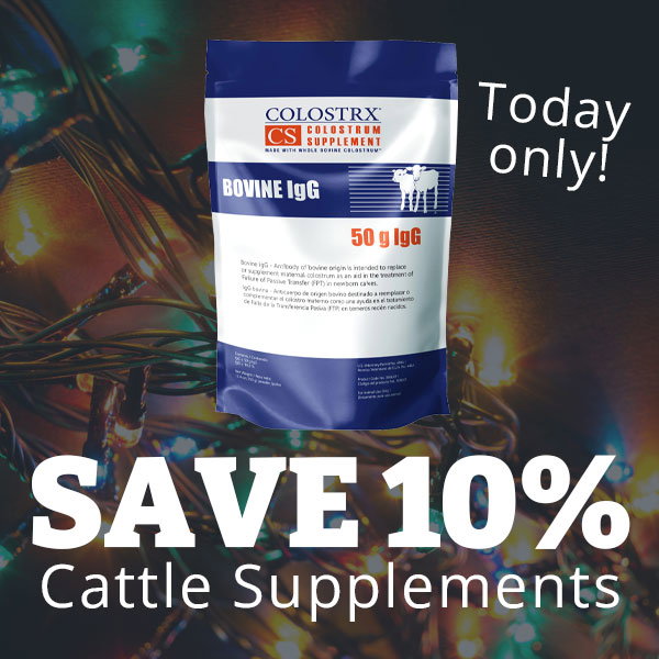 Save 10% on Cattle Supplements