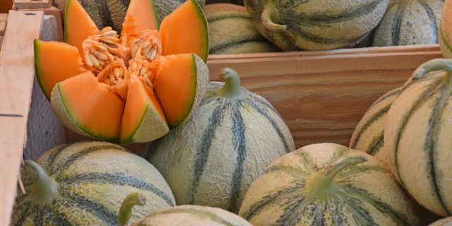 Rappel melon Carrefour
