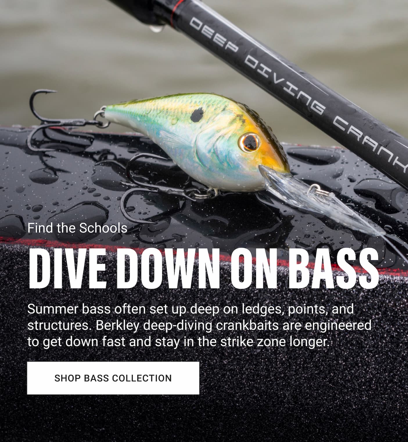 Deep Crankbait Bass