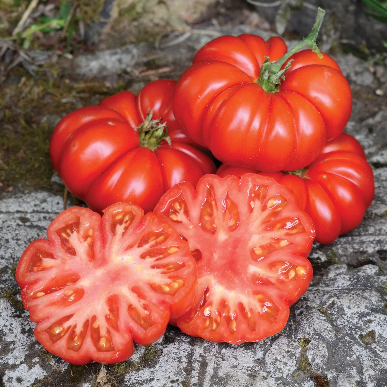 Image of Costoluto Fiorentino Tomato