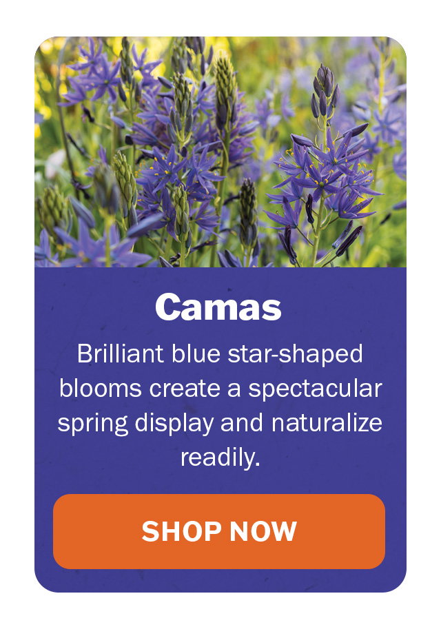 Camas