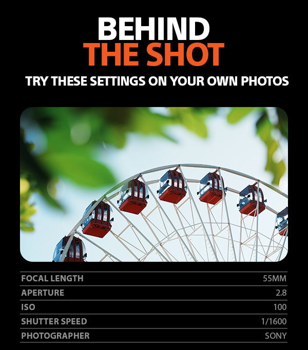 Behind The Shot | Try these settings on your own photos | Focal Length 55mm, Aperture 2.8, ISO 100, Shutter Speed 1/1600, Photographer Sony