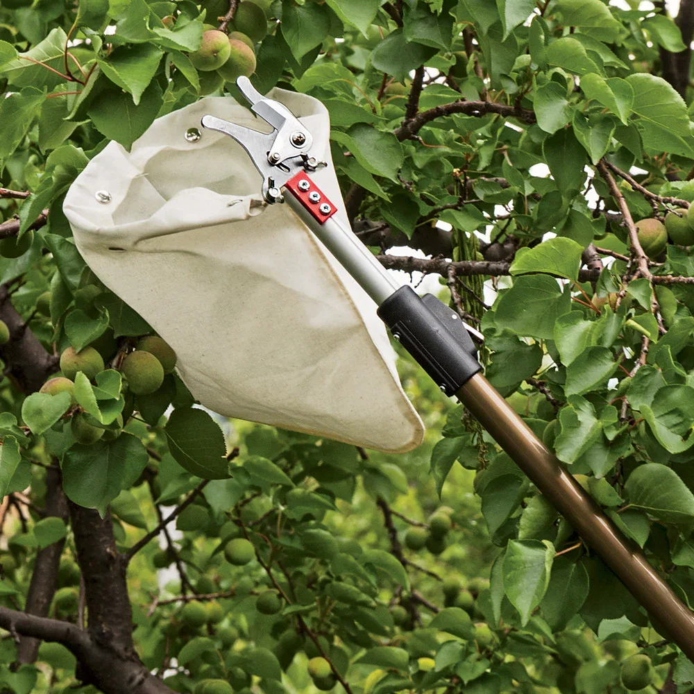 Image of Telescopic Fruit Picker